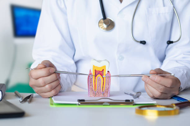 Best Emergency Wisdom Teeth Removal in Voorheesville, NY